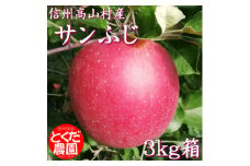 高山村産りんご(サンふじ)3kg箱【1588232】