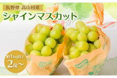 信州　高山村産　シャインマスカット　約1kg以上(2房以上)【1633728】