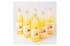 信州産りんごジュース(サンふじ すりおろし)1,000ml×6本【1654591】
