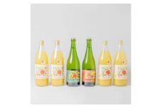 信州産りんごジュース(サンふじ すりおろし)4本+シードル2本セット【1654641】