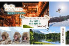 山ノ内町内宿泊補助券（6枚）1年間有効 30,000円分 旅行 宿泊券 ホテル 旅館 チケット 宿泊 補助券 志賀高原 湯田中渋温泉郷 北志賀高原 地獄谷野猿公苑  温泉 ギフト 自然 観光 長野県 信州 冬 スキー