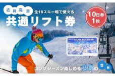 2025-26 志賀高原スキー場共通リフト券 10日券 【スキー場 共通 リフト券 志賀高原 スキー スノーボード リフト チケット 志賀高原全山 アウトドア スポーツ 旅行 長野県 長野 】 