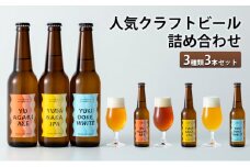 人気クラフトビール詰め合わせ3種類3本セット【クラフトビール 人気 詰め合わせ  長野県 山ノ内町 飲みやすい 志賀高原】
