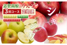定期便 3ヶ月 志賀高原季節のりんご定期便3回コース りんご シナノスイート ぐんま名月 サンふじ リンゴ フルーツ 果物 デザート おやつ 長野県 長野 定期 お楽しみ 3回