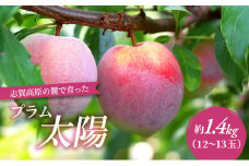 志賀高原の麓で育った プラム 太陽 約1.4kg(12～13玉) お届け日時指定不可  すもも フルーツ 果物 長野