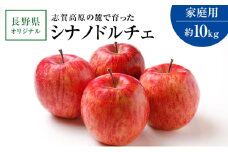 志賀高原の麓で育った シナノドルチェ （家庭用）約10kg  りんご 10kg フルーツ 長野