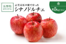 志賀高原の麓で育った シナノドルチェ 秀16玉 約5kg  りんご フルーツ 果物 おやつ 長野県 長野