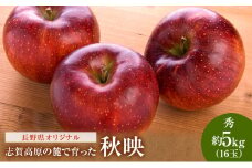 志賀高原の麓で育った 秋映 秀16玉 約5kg  りんご リンゴ フルーツ 果物 デザート おやつ 長野県 長野