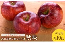 志賀高原の麓で育った 秋映 （家庭用）約10kg  りんご 10kg フルーツ 果物 デザート おやつ 長野県 長野