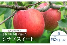 志賀高原の麓で育った シナノスイート 秀16玉 約5kg りんご フルーツ 果物 デザート 長野県 長野