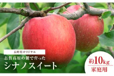 志賀高原の麓で育った シナノスイート （家庭用）約10kg  りんご 10kg フルーツ 果物 長野県 長野