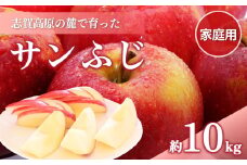 志賀高原の麓で育った サンふじ （家庭用）約10kg  りんご 10kg フルーツ 果物 デザート 長野 