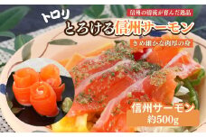 サーモン トロリとろける信州サーモン（虹鱒×ブラウントラウト）生食用約500g 刺身 冷凍 国産 スライス ホイル焼き 長野県 山ノ内町
