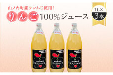 山ノ内町産サンふじ使用！りんごジュース 1000cc×3本セット【絶品 りんごジュース 100％ サンふじ 】