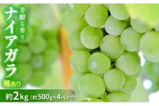 種ありナイアガラ 約2kg 2025年(R7年)9月中旬～10月下旬頃出荷予定【安心安全 こだわりの栽培方法 除草剤不使用 栽培期間中 ネオニコチノイド系農薬不使用 化学合成肥料不使用 】【2025 ナイアガラ 長野県 水 こだわり 信州 ぶどう 先行 R7発送  種あり 農薬不使用 フルーツ】