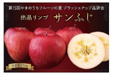 第15回やまのうちフルーツの里 ブラッシュアップ品評会 出品リンゴ 約2.5kg(8玉入り)【 サンふじ りんご フルーツ 果物 数量限定 希少 特秀 高評価 厳選 選りすぐり ブランド 認定 品評会 長野 清流 ミネラル 蜜入り 】