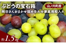 ぶどう ぶどうの宝石箱  岡田さんおまかせ詰め合わせ家庭用粒入れ約1.5kg 山ノ内町産 ブドウ 葡萄