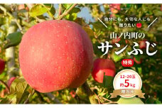 贈りたい味、笑顔届ける　 山ノ内育ちのりんご　サンふじ　贈答用　特秀5kg りんご 果物