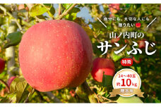 贈りたい味、笑顔届ける　 山ノ内育ちのりんご　サンふじ　贈答用　特秀10kg りんご 果物