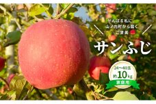 今日を癒すひと玉 私のサンふじ　サンふじ　家庭用　10kg りんご 果物