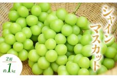 シャインマスカット 2房 約1kg ぶどう ブドウ 葡萄 マスカット 果物 フルーツ 長野県 長野 山ノ内町