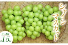 シャインマスカット 2～4房 約1.5kg ぶどう ブドウ 葡萄 マスカット 果物 フルーツ 長野県 長野 山ノ内町