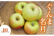ぐんま名月 約10kg りんご リンゴ 林檎 果物 フルーツ 長野県 長野 山ノ内町