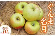 ぐんま名月 家庭用 約10kg りんご リンゴ 林檎 果物 フルーツ 長野県 長野 山ノ内町
