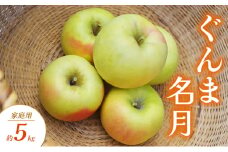 ぐんま名月 家庭用 約5kg りんご リンゴ 林檎 果物 フルーツ 長野県 長野 山ノ内町