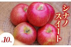 シナノスイート 約10kg りんご リンゴ 林檎 果物 フルーツ 長野県 長野 山ノ内町