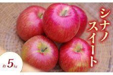 シナノスイート 約5kg りんご リンゴ 林檎 果物 フルーツ 長野県 長野 山ノ内町