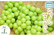 冷蔵貯蔵 シャインマスカット 2房 約1kg ぶどう ブドウ 葡萄 マスカット 果物 フルーツ 長野県 長野 山ノ内町