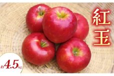 紅玉 約4.5kg りんご リンゴ 林檎 果物 フルーツ 長野県 長野 山ノ内町