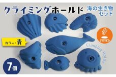 クライミングホールド・海の生き物セット クライミング 遊び 子供 トレーニング リサイクル素材 耐久 環境保護