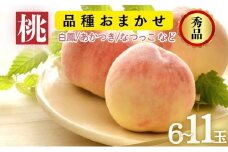 品種おまかせ（白鳳、あかつき、なつっこなど）秀品 約3kg 6～11玉 桃 もも 果物 信州 長野