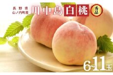 川中島白桃 秀品 約3kg 6～11玉 桃 もも 果物 信州 長野