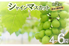 シャインマスカット 訳あり家庭用 約2kg 4～6房 マスカット ぶどう 果物 信州 長野