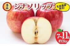 シナノリップ 秀品 約3kg 7～11玉 りんご 果物 信州 長野