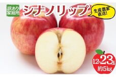 シナノリップ 訳あり家庭用 約5kg 12～23玉 りんご 果物 訳あり 信州 長野
