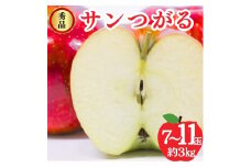 サンつがる 秀品 約3kg 7～11玉 りんご 果物 信州 長野
