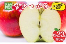 サンつがる 訳あり家庭用 約5kg 12～23玉 りんご 果物 訳あり 信州 長野