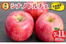 シナノドルチェ 秀品 約3kg 7～11玉 りんご 果物 信州 長野