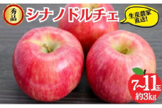 シナノドルチェ 秀品 約3kg 7～11玉 りんご 果物 信州 長野