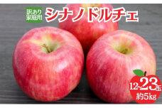 シナノドルチェ　訳あり家庭用　約5kg（12～23玉） りんご 果物 訳あり 信州 長野