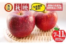 秋映 秀品 約3kg 7～11玉 りんご 果物 信州 長野