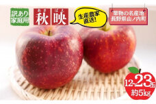 秋映 訳あり家庭用 約5kg 12～23玉 りんご 果物 訳あり 信州 長野