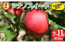 シナノスイート 秀品 約3kg 7～11玉 りんご 果物 信州 長野