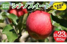 シナノスイート 訳あり家庭用 約5kg 12～23玉 りんご 果物 訳あり 信州 長野