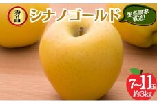 シナノゴールド 秀品 約3kg 7～11玉 りんご 果物 信州 長野
