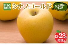 シナノゴールド 訳あり家庭用 約5kg 12～23玉 りんご 果物 訳あり 信州 長野